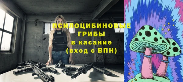 винт Алексин