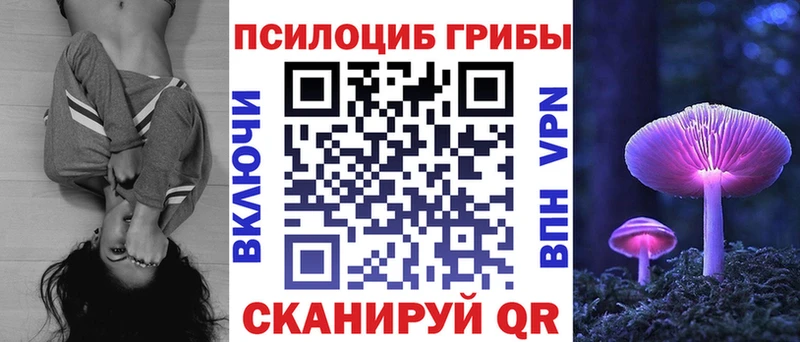KRAKEN рабочий сайт  купить наркотик  Петровск-Забайкальский  Галлюциногенные грибы MAGIC MUSHROOMS 